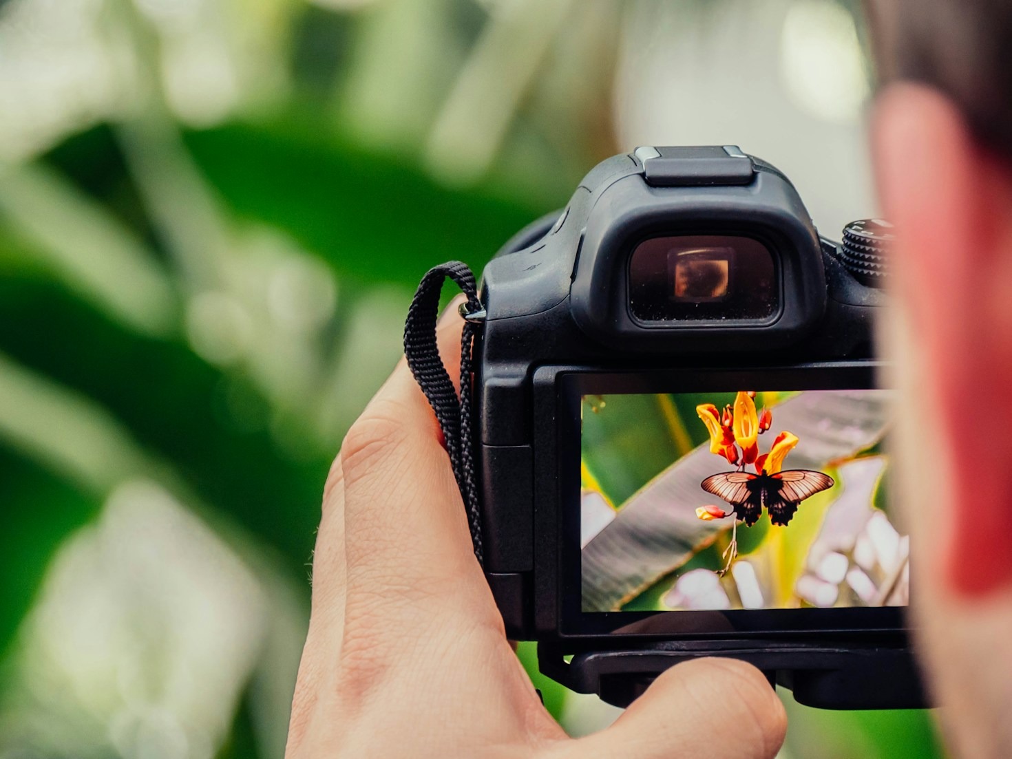 Un viaggio tra i generi fotografici più emozionanti